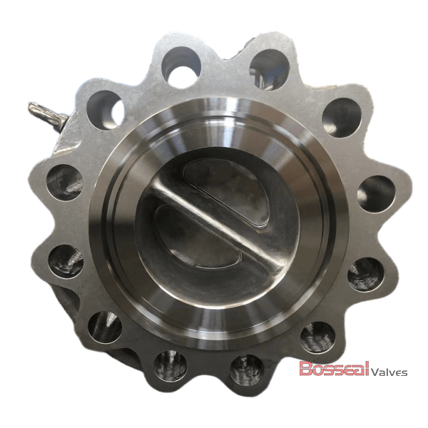 Duplex Stainless Steel Non-Return Valve, 24 IN, CL 300