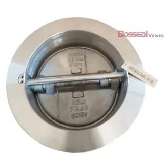 API 594 Check Valve, 2-1/2 IN, CL 2500 LB, ASTM A352 LCB