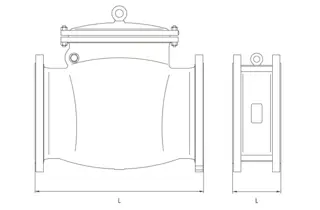 Swing Check Valve VS Dual Plate Check Valve