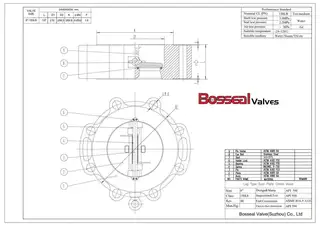 API 6D Check Valve Tech Drawing