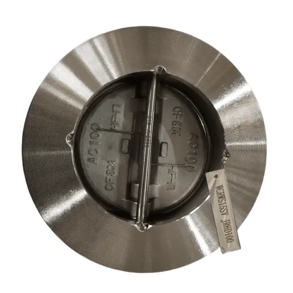 Válvula de retención ASTM A351 CF8M, API 594,4 pulgadas, 300 libras, RF
