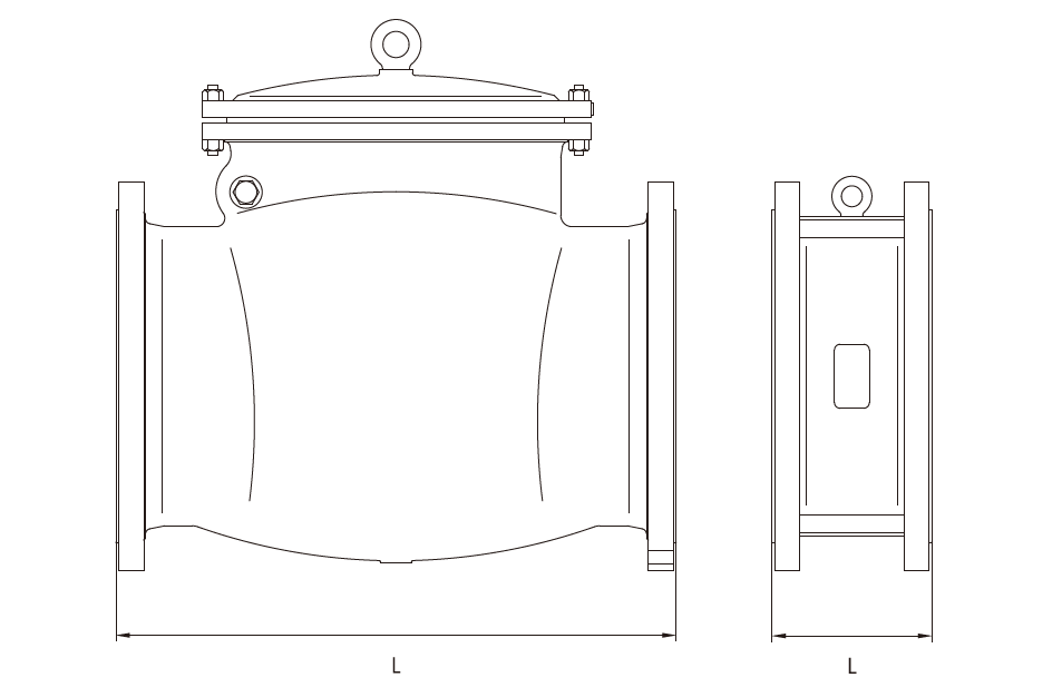 Swing Check Valve VS Dual Plate Check Valve