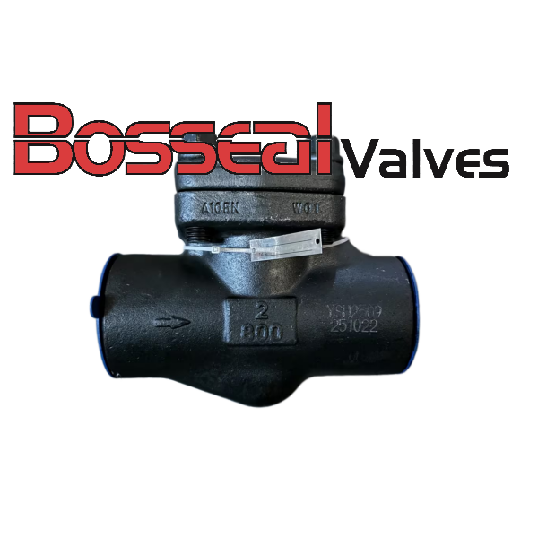 ASTM A105N Piston Check Valve, 2 Inch, 800 LB, API 602, SW