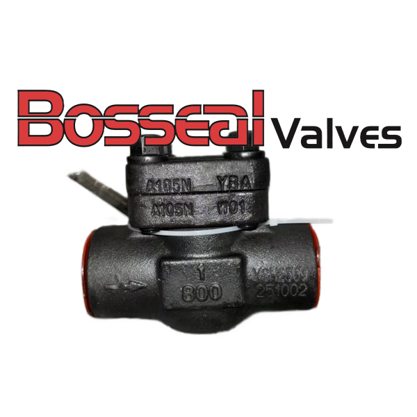 Forged Carbon Steel Check Valve, 1 Inch, 800 LB, ASME B16.34