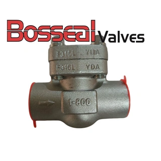 ASTM A182 F316L Piston Check Valve, API 602, 1 Inch, 800 LB ASTM A182 F316L Piston Check Valve, API 602, 1 Inch, 800 LB