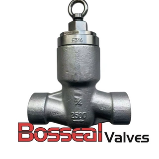 ASTM A182 F316 Lift Check Valve, 3/4 Inch, 2500 LB, API 602
