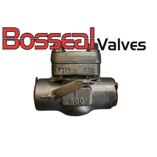 Stainless Steel Swing Check Valve, ASTM A182 F316, 1 Inch