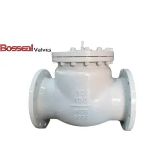 20 Inch Swing Check Valves, API 594, 300 LB, A352 LCB, RF