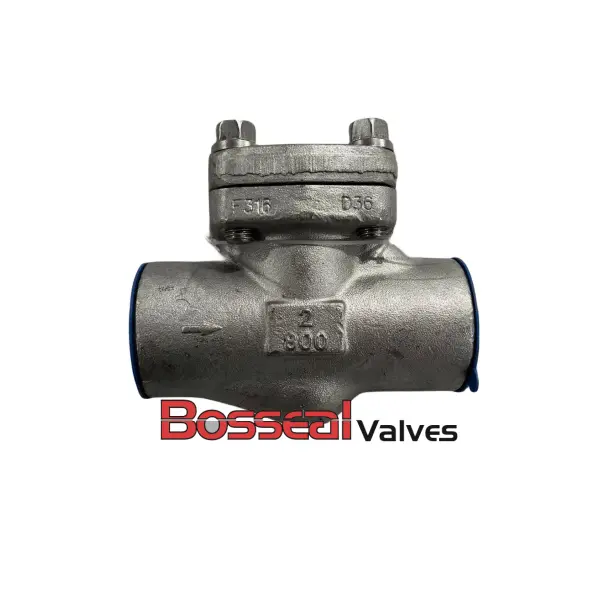 API 602 Piston Check Valve, 2 IN, CL 800 LB, ASTM A182 F316