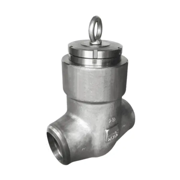 Válvula de retención oscilante ASTM A182F316, 2-1/2 pulgadas, 2500 libras, peso