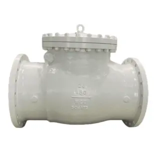 Check Valves