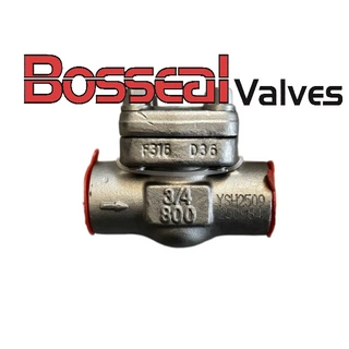 ASTM A182 F316 Swing Check Valve, 3/4 Inch, Bolted Bonnet