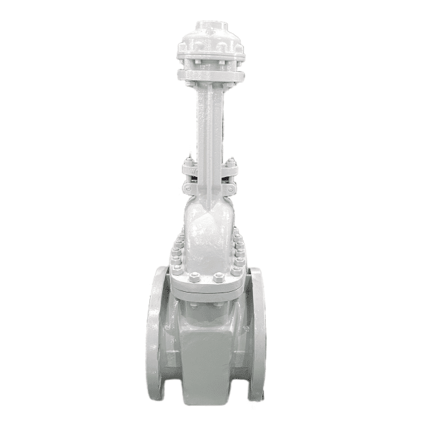 Bolted Bonnet Gate Valve, API 600, WCB, 16 Inch, 150 LB