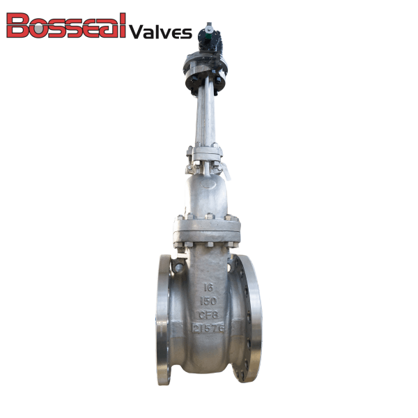 ASTM A351 CF8 задвижка, API 600, API 603, 16 дюймов 150 фунтов, RF