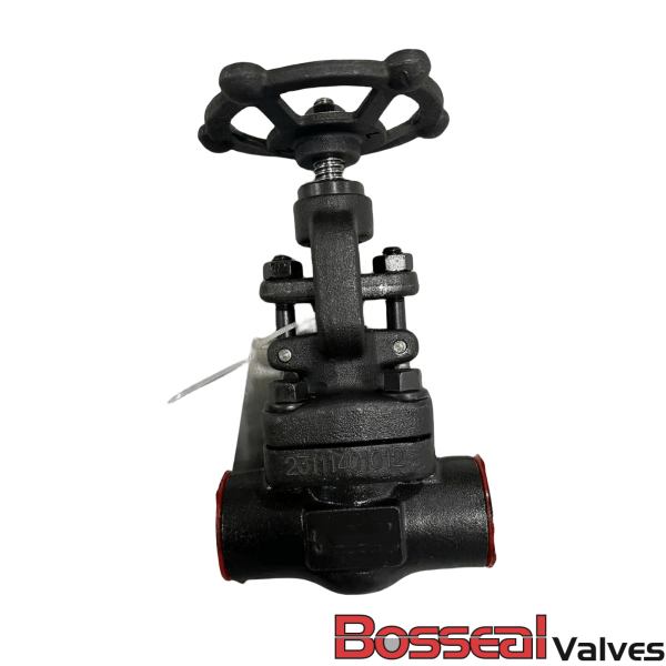 API 602 Gate Valve, 1-1/2 IN, 800 LB, ASME B16.34, A350 LF2