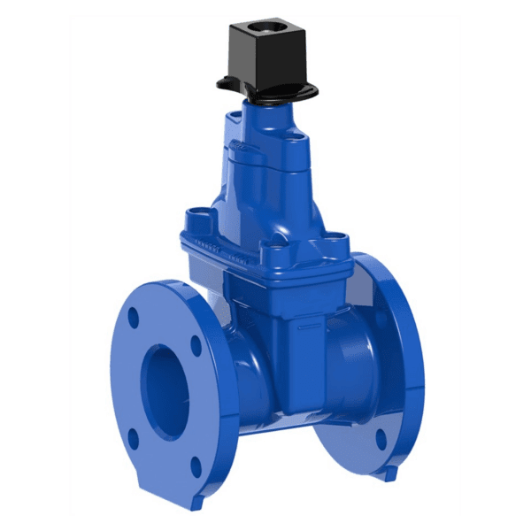EN 1074 Resilient Seated Gate Valve, DN50, PN16, BS 5163
