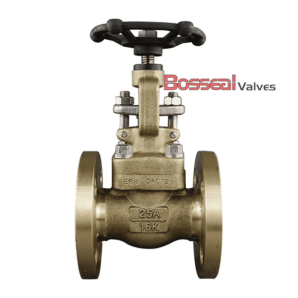 6 Inch Al-bronze Gate Valve, API 600, B148 C95800, CL300 LB