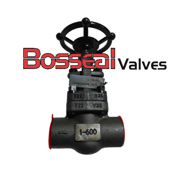 ASTM A182 F22 Forged Gate Valve, API 602, 1 Inch, 600 LB