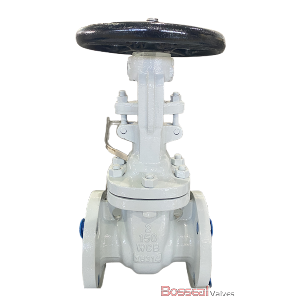 ASTM A216 WCB Gate Valve, Trim 8, OS&Y, API 600, 18 IN, CL300