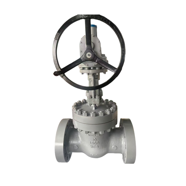 ASTM A217 C5 Wedge Gate Valve, API 600, 6 Inch, 900 LB, RTJ