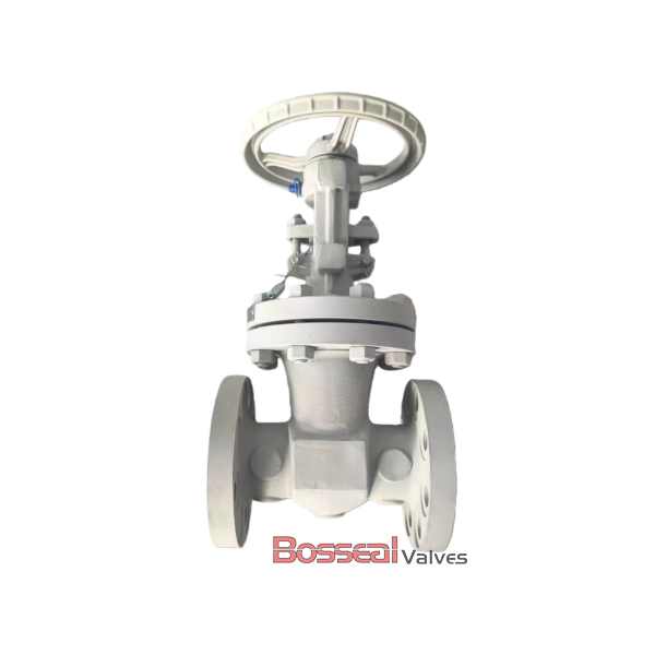 ASTM A351 CF3 Wedge Gate Valve, API 600, 6 IN, CL150, OS&amp;Y