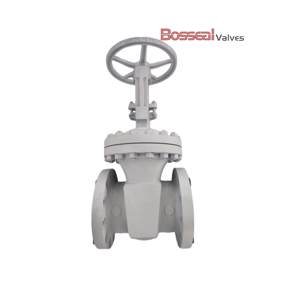Задвижка ASTM A351 CF8, API 600, 4 дюйма, 1500 фунтов, RTJ, PSB