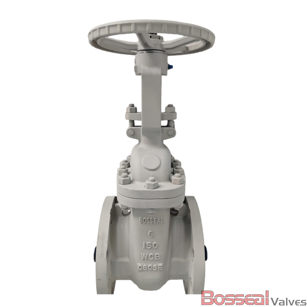 Клиновая задвижка ASTM A351 CF8, 4 дюйма, 2500 фунтов, фланцевая RTJ