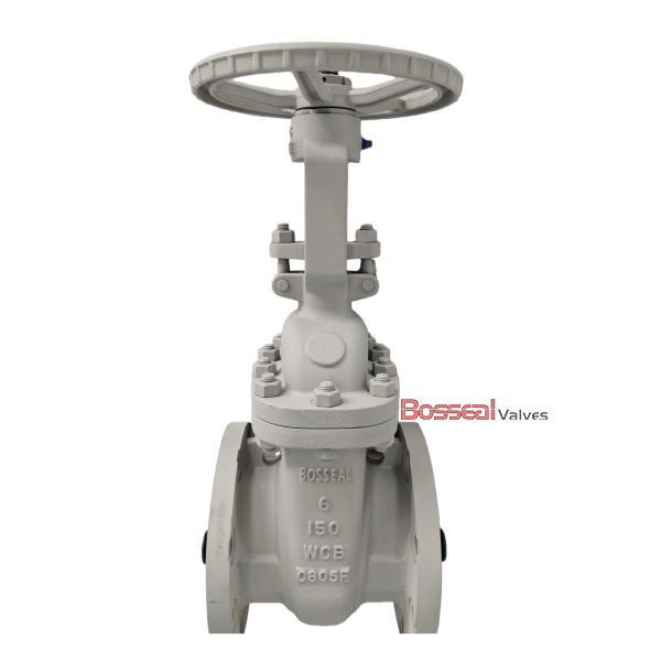 Duplex Steel Gate Valve, ASTM A995 5A, 16 IN, CL150, Trim 8