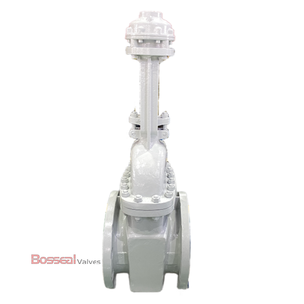 Flexible Wedge Gate Valve, 20 IN, CL 300, ASTM A890 4A