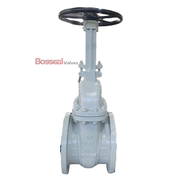 Flexible Wedge Gate Valve, 24 IN, CL150, ASTM B148 C95800