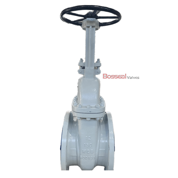 Pressure Seal Bonnet Gate Valve, ASTM A351 CF8, 3 IN, CL600