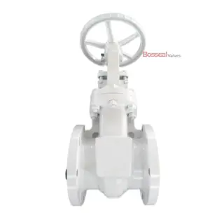Flexible Wedge Gate Valve, 10 IN, CL300, B148 C95800, OS&Y