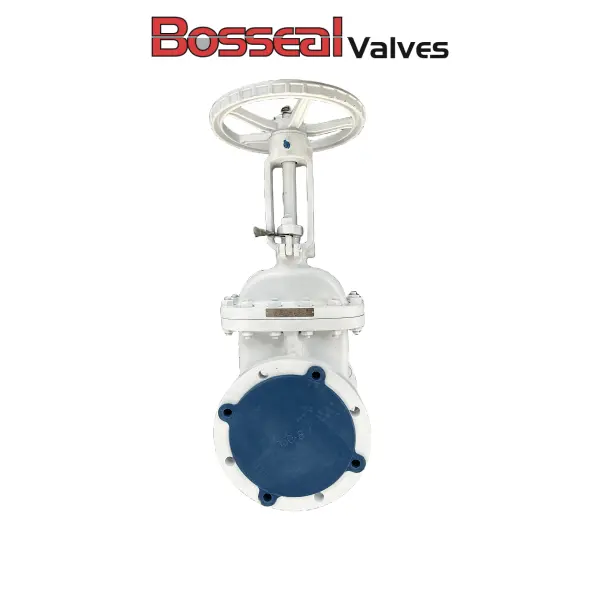 Bolted Bonnet Gate Valve, API 600, WCB, 6 Inch, 150 LB, RF