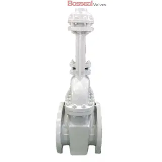 ASTM A890 5A Gate Valve, API 600, 8 Inch, 150 LB, OS&Y