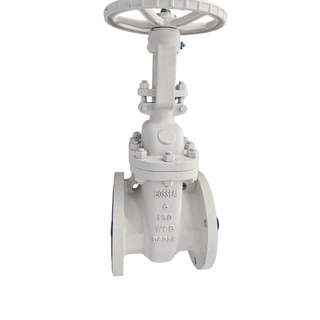 API 600 Cast Steel Gate Valves, CF8M, 18 Inch, CL300 LB, BB