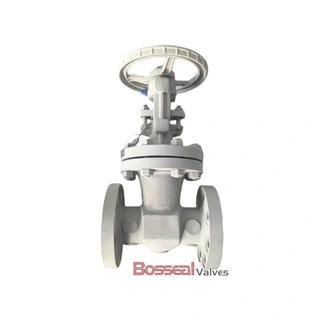 ASTM A351 CF3 Wedge Gate Valve, API 600, 6 IN, CL150, OS&Y