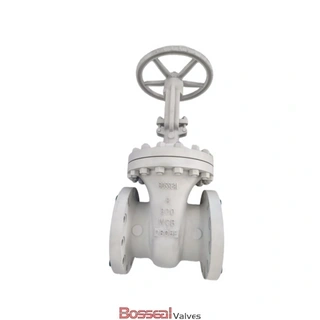Duplex Stainless Steel Gate Valve, A995 6A, 12 Inch, 2500 LB
