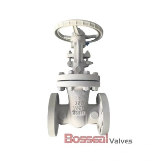 Rising Stem Gate Valves, API 600, Stainless Steel CF8, 10 IN