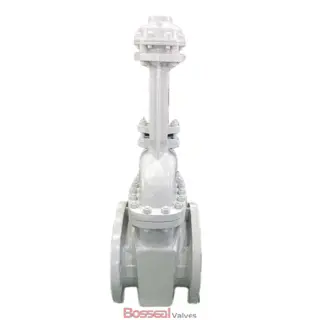 Bolted Bonnet Gate Valve, A351 CF8M, 12 IN, CL 300, API 600