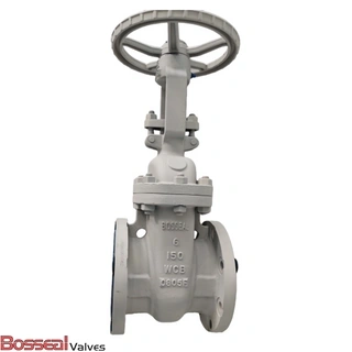 ASTM A217 C5 Gate Valve, API 600, 6 IN, 300 LB, PSB, RF