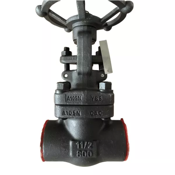 Bolted Bonnet Forged Gate Valve, 1-1/2 Inch, 800 LB, SW