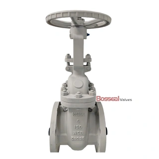 Duplex Steel Gate Valve, ASTM A995 5A, 16 IN, CL150, Trim 8
