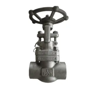 ASTM A182 F316 Forged Gate Valve, API 602, 1IN, CL1500, SW