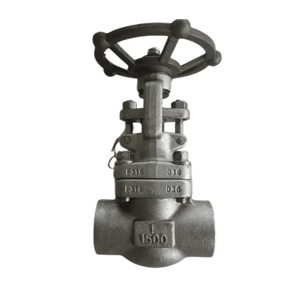 Válvula de compuerta forjada ASTM A182F316, API 602,1IN, CL1500, SW