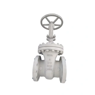 ASTM A216 WCC Gate Valve, API 600, 20 IN, 300 LB, RF Flanged