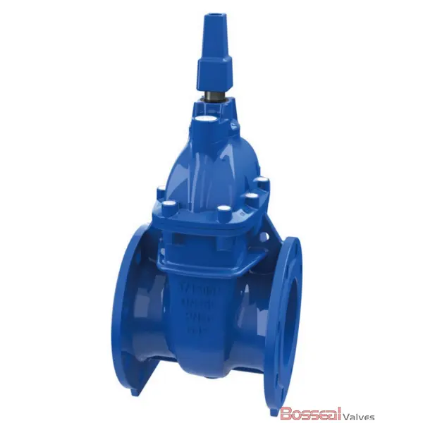 AWWA C500, C509, C515 Gate Valve, Ductile Iron, PN15, DN600 - Bosseal