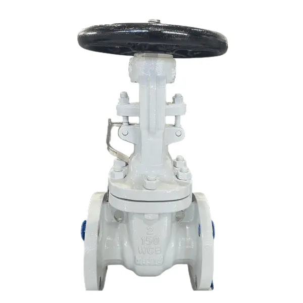 NACE MR0175 Gate Valve, API 600, 2 Inch, 150 LB, WCB, RF