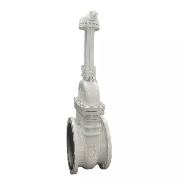 Válvula de compuerta de cuña ASTM A216 WCB, API 60,24 pulgadas, 150 libras, RF