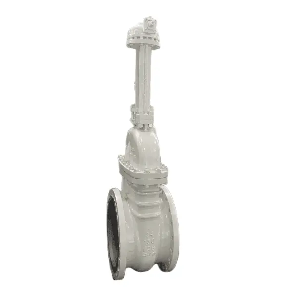 ASTM A216 WCB Wedge Gate Valve, API 600, 24 Inch, 150 LB, RF