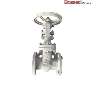ASTM A995 6A Gate Valve, API 600, 12 IN, CL300, OS&Y, BB, RF
